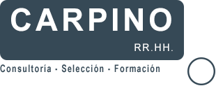 Carpino